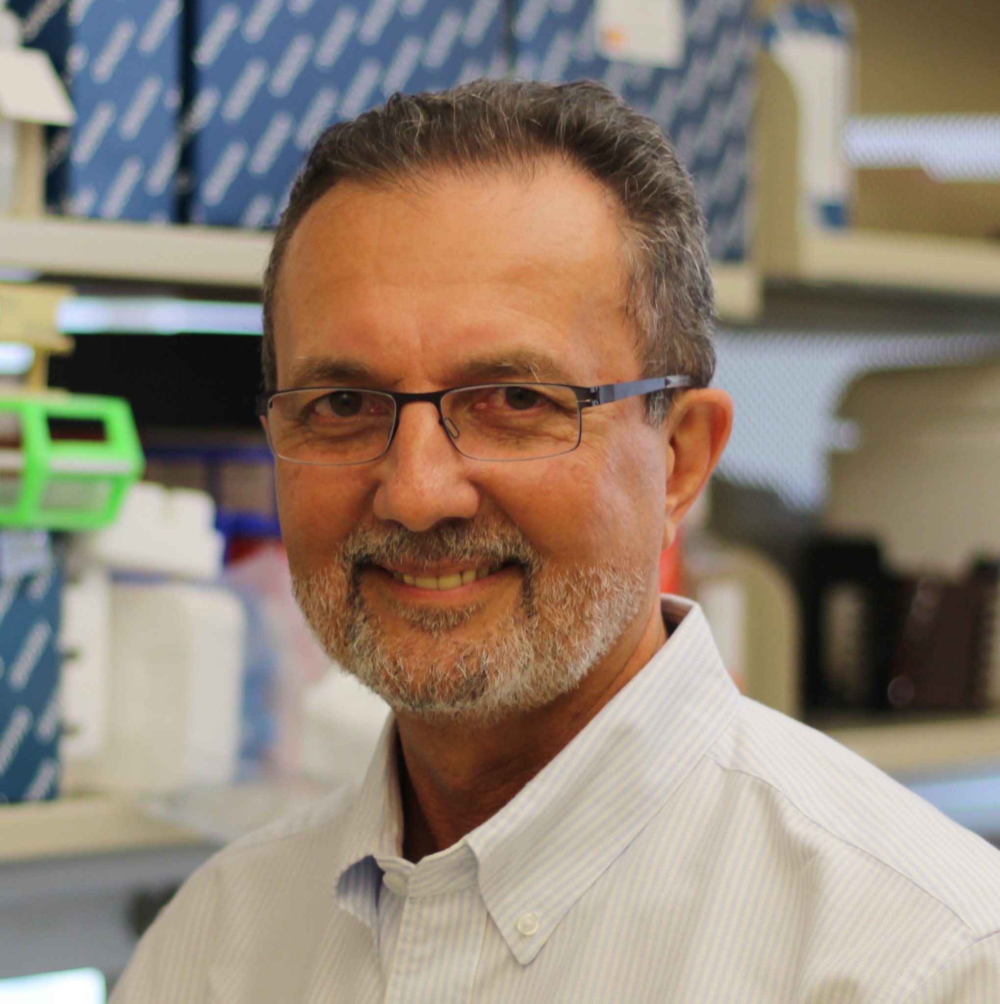 Wellington V. Cardoso