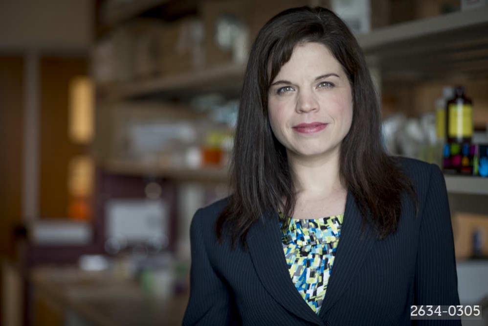 Lynne-Marie Postovit