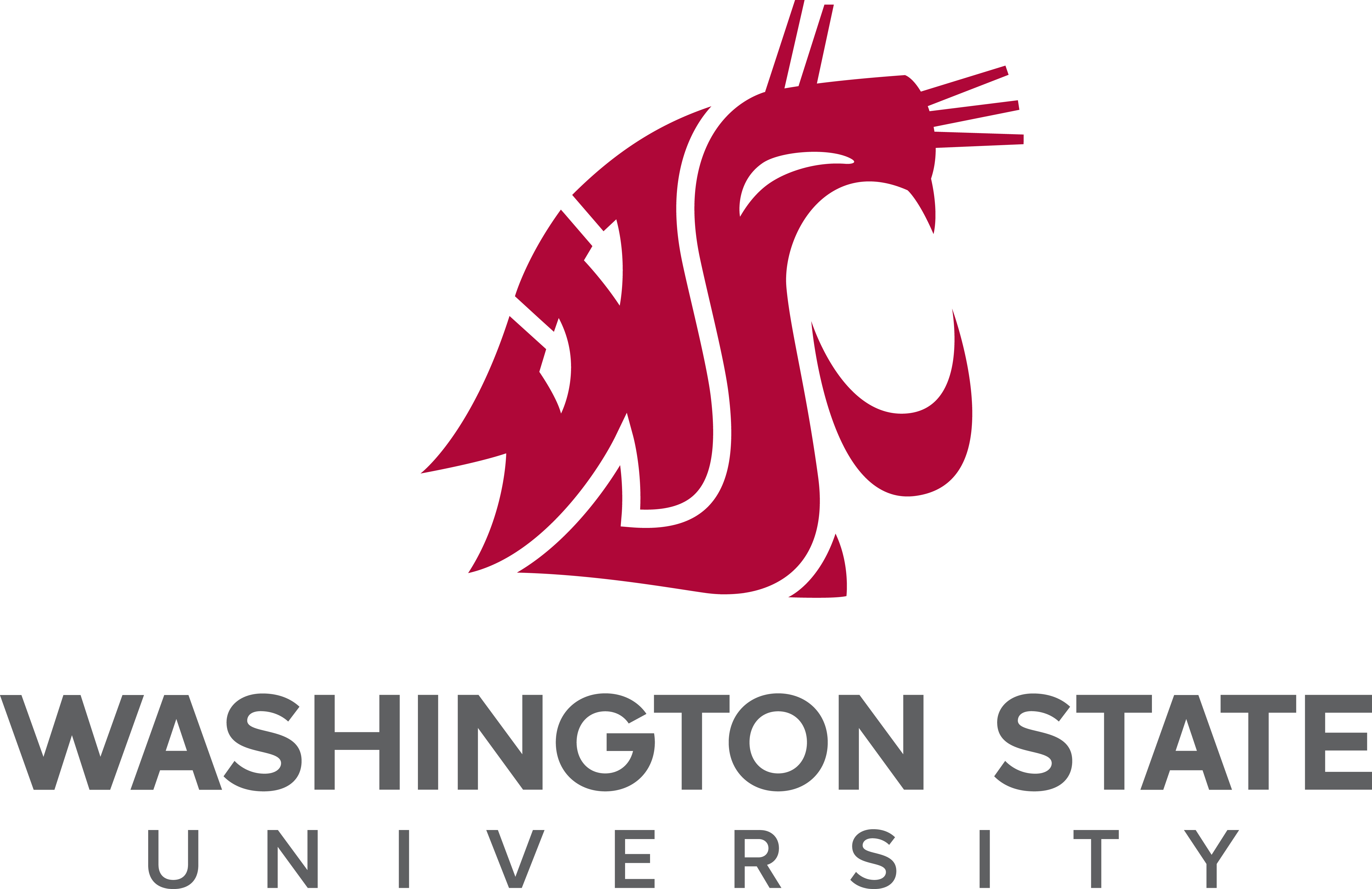 Washington State University