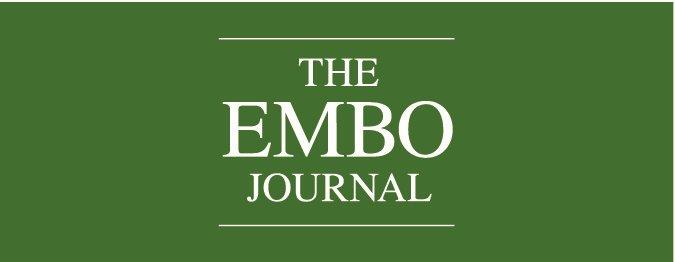 EMBO Journal