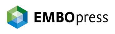 EMBO Press