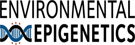 Environmental Epigenetics