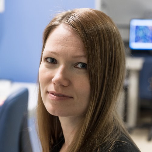 Minna Kaikkonen-Määttä