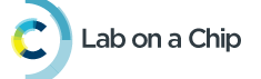 Lab on a Chip