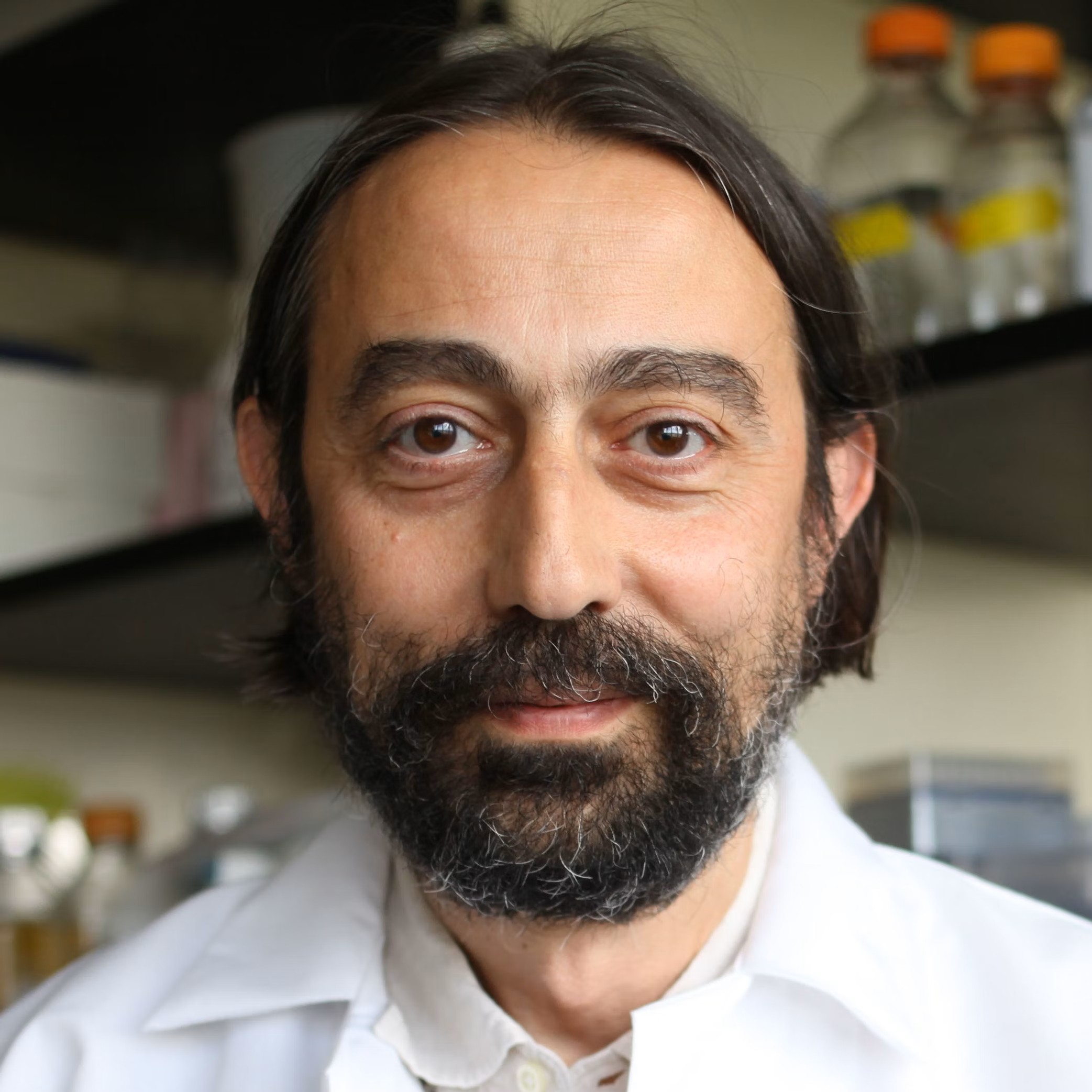 Adolfo Garcia-Sastre