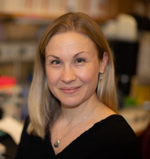 Pauliina Damdimopoulou