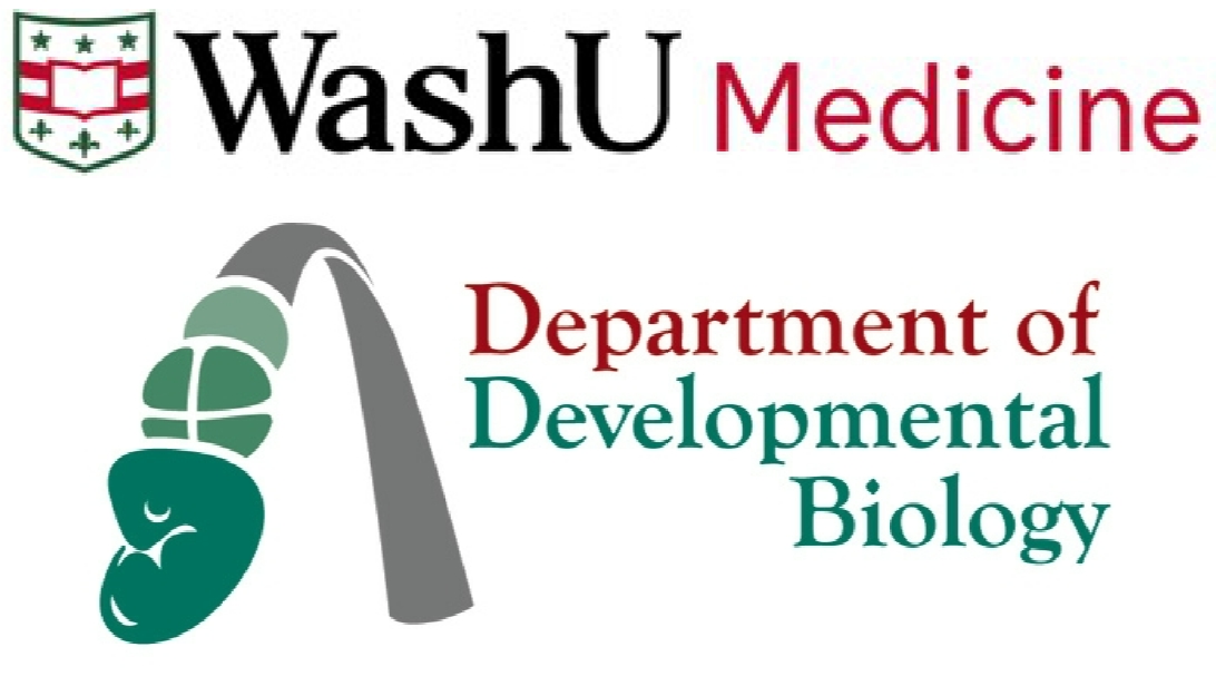Washington University / Department of Dev Bio