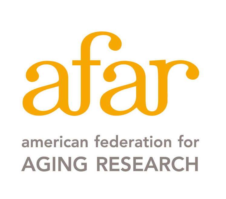 American Federation for Aging Research